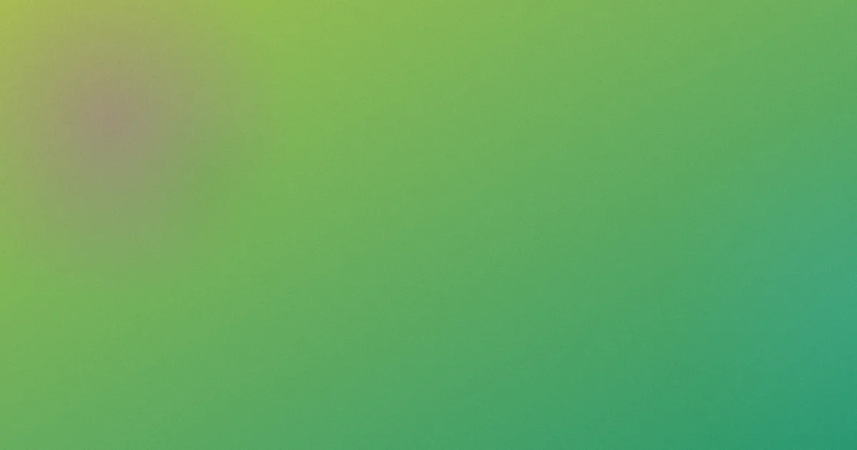 情迷假期怎么用？观影实测